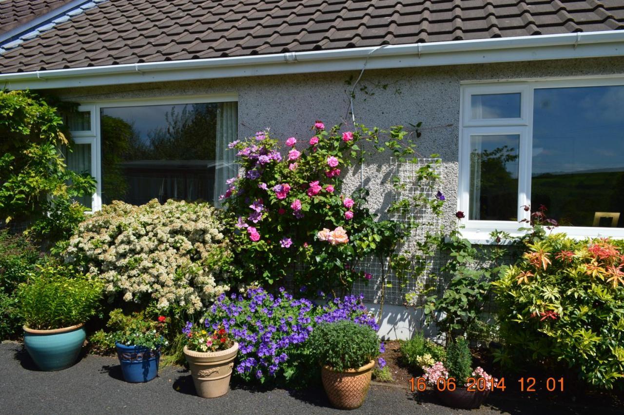 Meadow View B&B Ballymena Exterior photo
